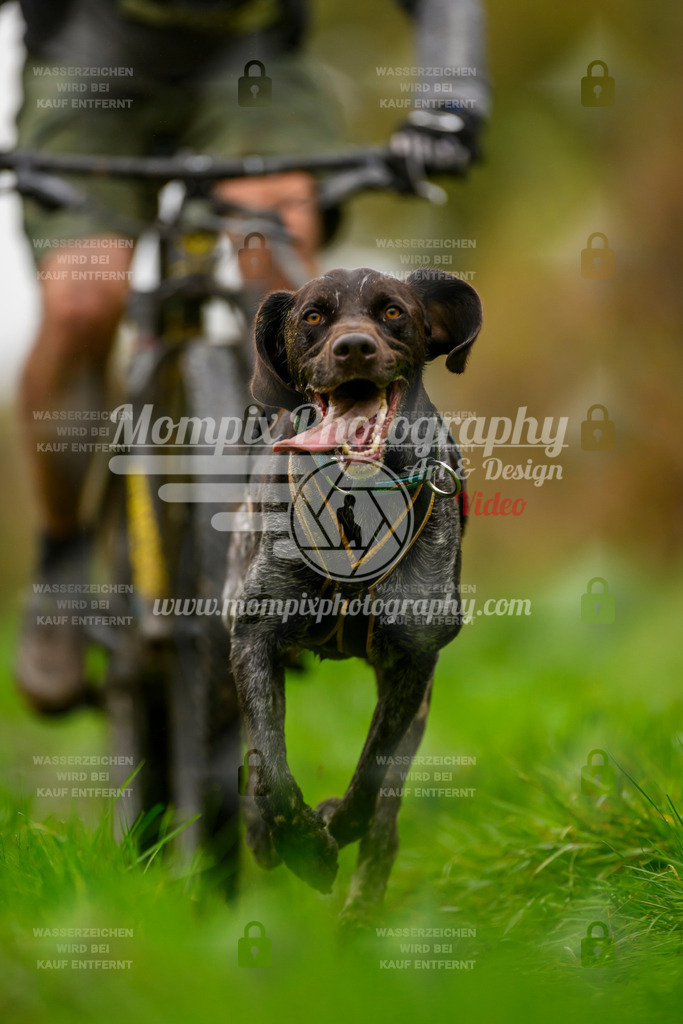 MompixPhotography_20TSB_E8_Bike-149 | PayLife