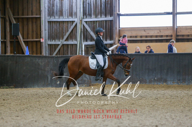 IMG_0721 | Turniersportfotografie; Pferdefotografie; Dressurfotografie