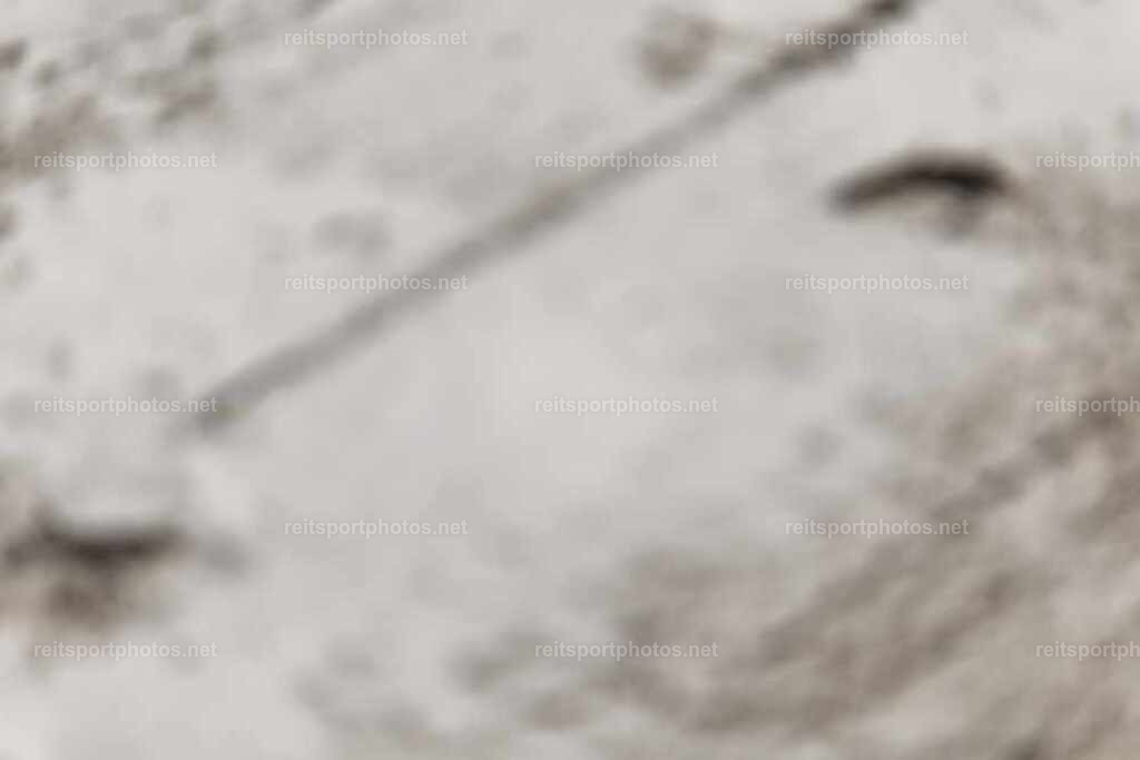 JoYaR3_Heidehof_00490 | JoYa Fotografie - Realisiert mit Pictrs.com