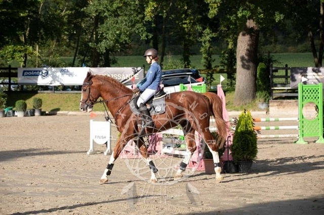 2B4A3917 | pixelfaenger - Realisiert mit Pictrs.com