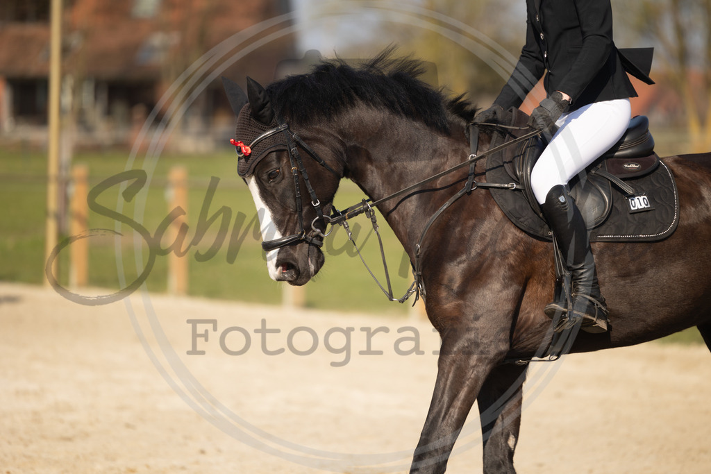 994A9759 | sabrinanicolaifotografie - Realisiert mit Pictrs.com