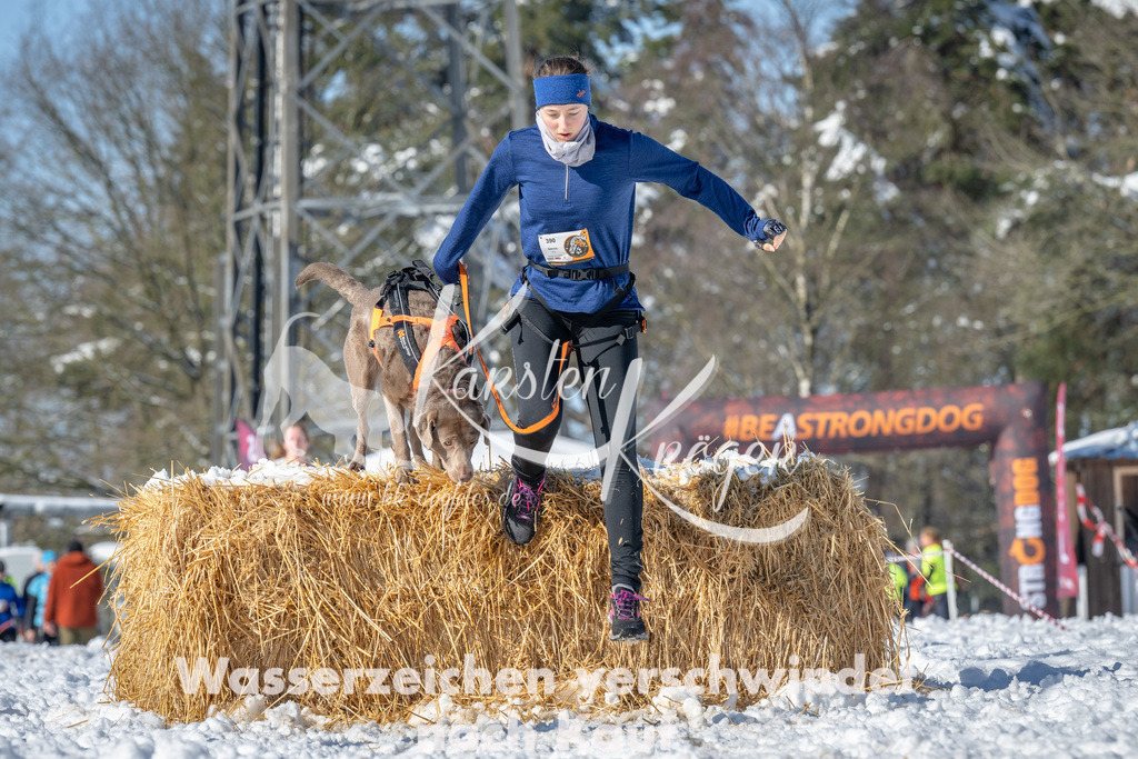 1107_ZZ90036-3 | kk-dogfotos