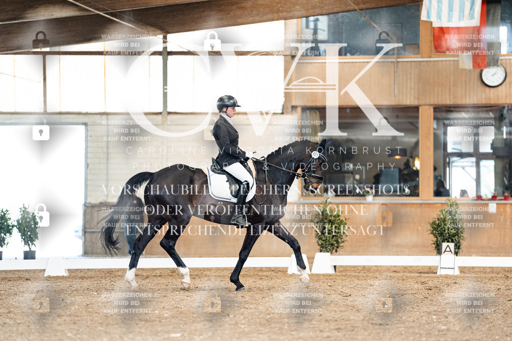 CK901212 | Turnierfotografie Pferdefotografie Trier Rheinland-Pfalz Pferdesport Reitsport Tierfotografie Sportfotografie Pferdevideo Pferdevideografie Equestrianvideography equestrianphotography  - Realisiert mit Pictrs.com