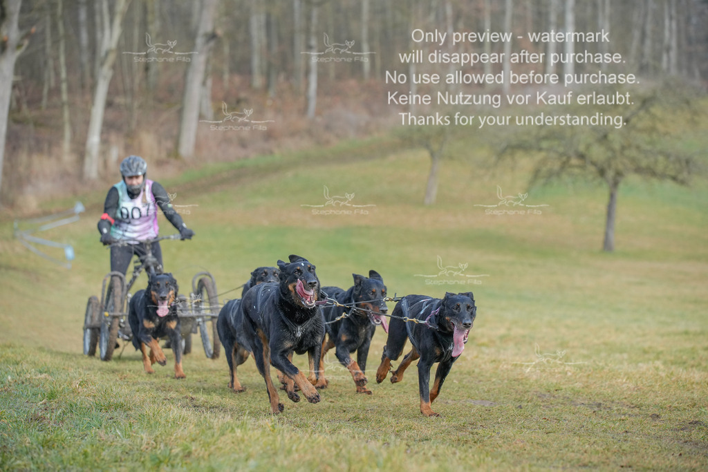 Sa_Gespanne-10 | stephaniefillaphotographie - Realisiert mit Pictrs.com