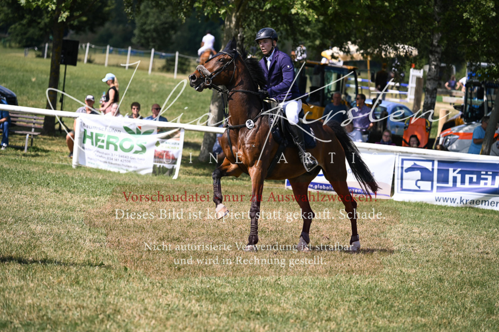 DSC_0415 | Pferde- und Turnierfotografie in Westsachsen. Pferdeportraits, Auftragszeichnungen und intuitive Kunst.