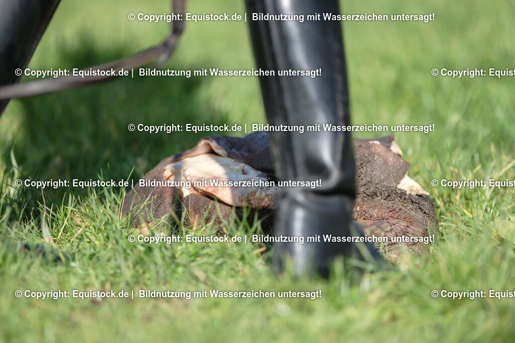 20251011_Jagd-Marbach_0658 | Foto: Thomas Hartig