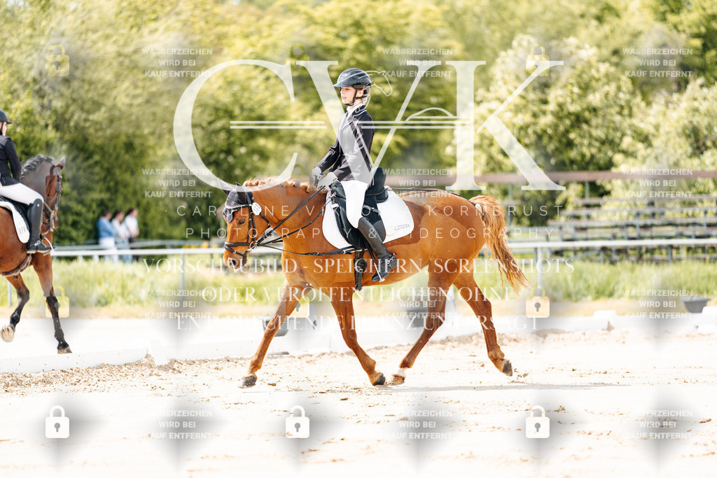 CK901674 | Turnierfotografie Pferdefotografie Trier Rheinland-Pfalz Pferdesport Reitsport Tierfotografie Sportfotografie Pferdevideo Pferdevideografie Equestrianvideography equestrianphotography  - Realisiert mit Pictrs.com