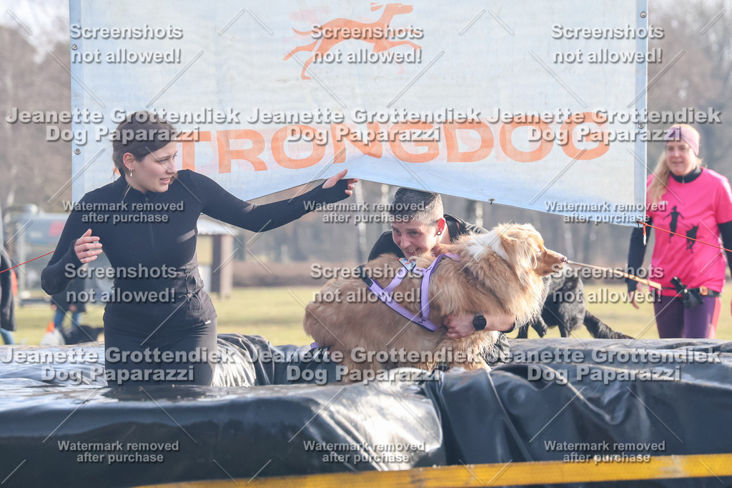 Dog Paparazzi - Strongdog North Mrz26-183 | Dog Paparazzi Jeanette Grottendiek Fotografie & Videografie - Realisiert mit Pictrs.com