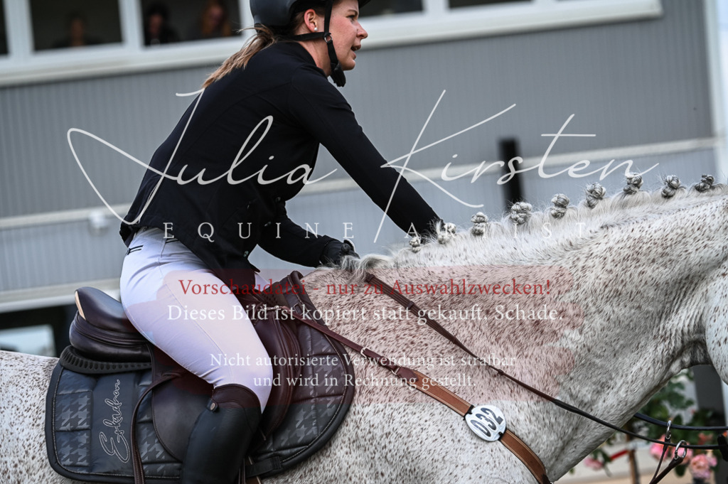 DSC_8354 | Pferde- und Turnierfotografie in Westsachsen. Pferdeportraits, Auftragszeichnungen und intuitive Kunst.