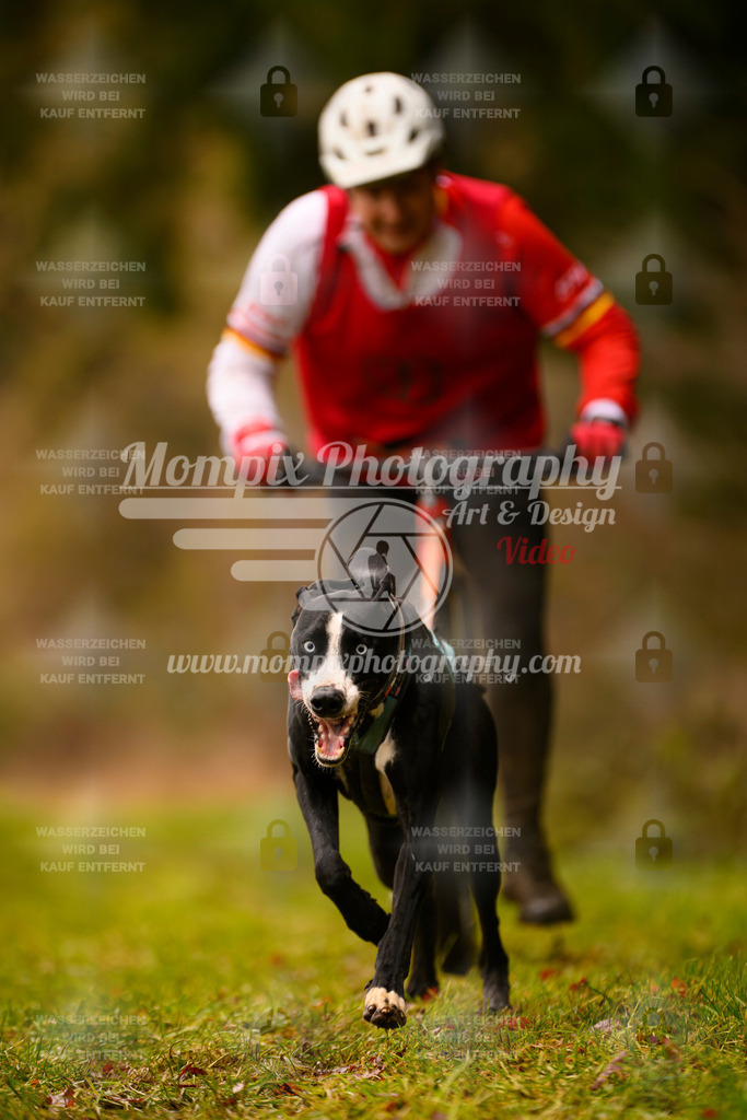MompixPhotography_2SSTSSBW_2025_SO_Scooter-20 | PayLife