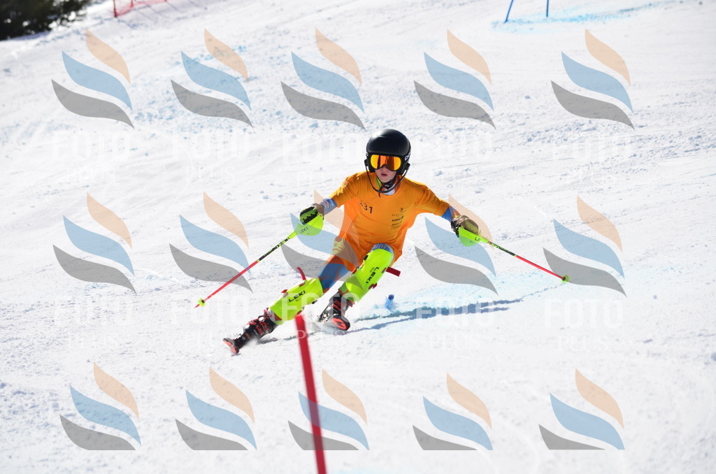 C9666 | holidayphoto