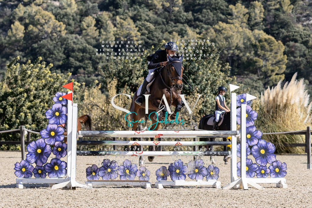 IMG_0306 | s-jay-photography - Realisiert mit Pictrs.com