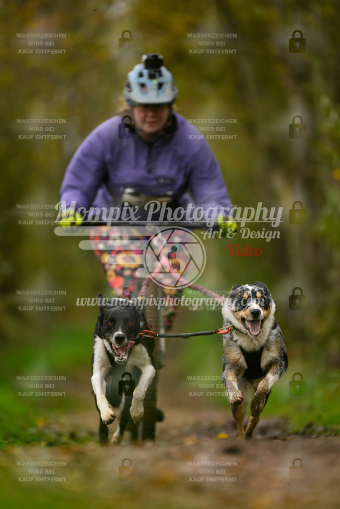 MompixPhotography_20TSB_E6_DS2-10 | PayLife