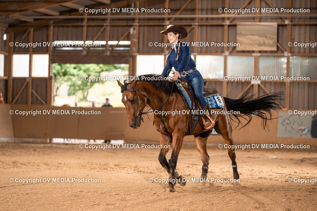 Losheim Tag 1-802 | dv-media-shop - Realisiert mit Pictrs.com