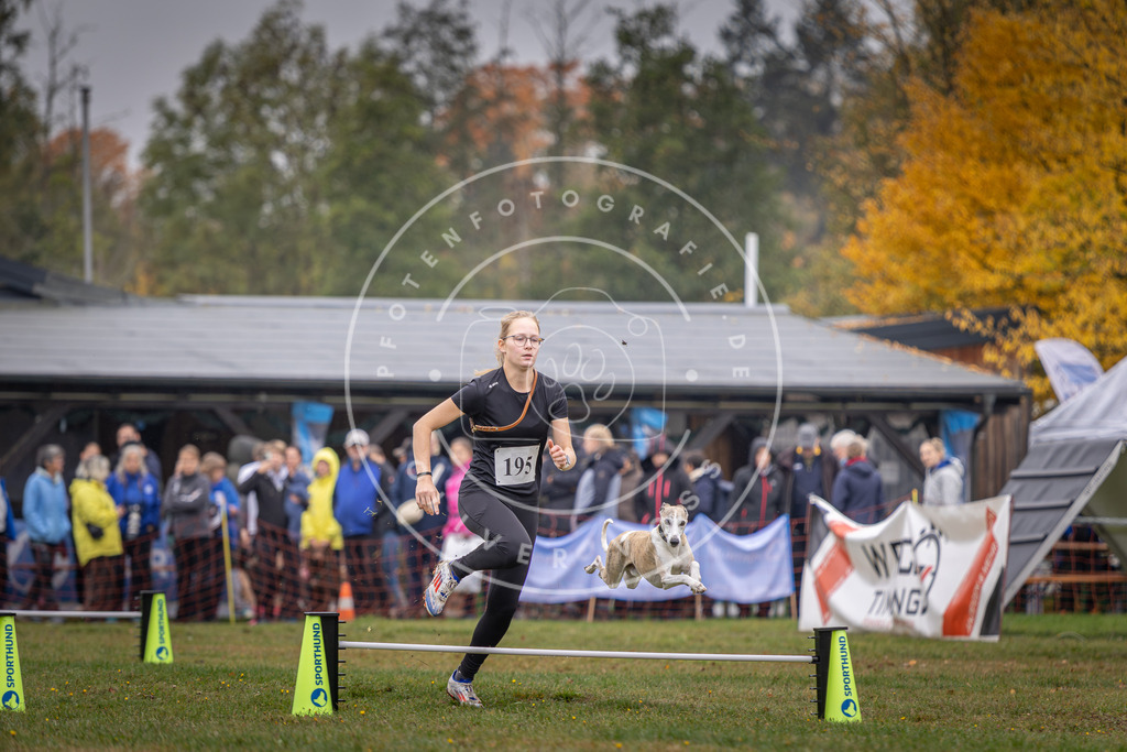 Pfotenfotografie_DV3A0697 | Hundefotografie, Tierfotograf, Pfotenfotografie, Fotoshooting Hund, Hunde Portrait, Hundesport, Hundeportraits, Heideshooting, Hunde, Sportfotograf, Hundefotograf, Turnierhundsport, THS,  - Realisiert mit Pictrs.com