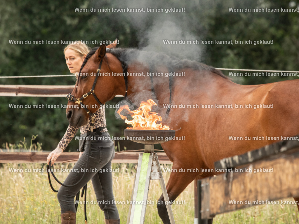 598A6453 | photographylinaismer - Realisiert mit Pictrs.com
