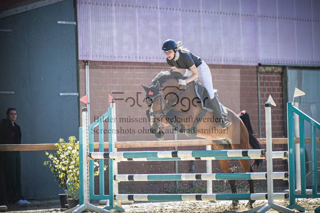DOS_3043 | Entdecke hochwertige Reitturnierfotos von Foto Oger. Professionell, emotional und authentisch – jetzt Lieblingsmomente im Shop bestellen.Deutschlandweite Turnierfotografie. - Realisiert mit Pictrs.com