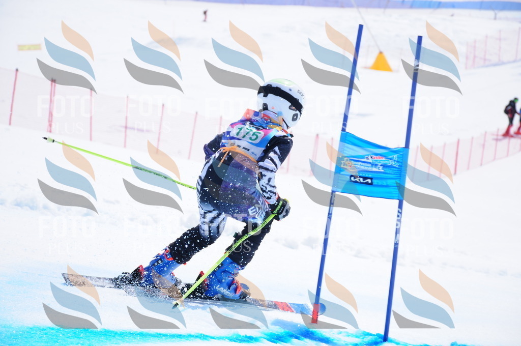 DSC_1538 | holidayphoto