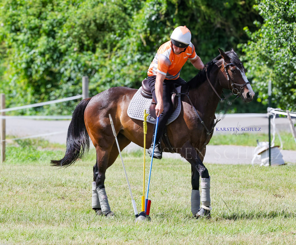 1B3A4823 | Reitsport Reiten