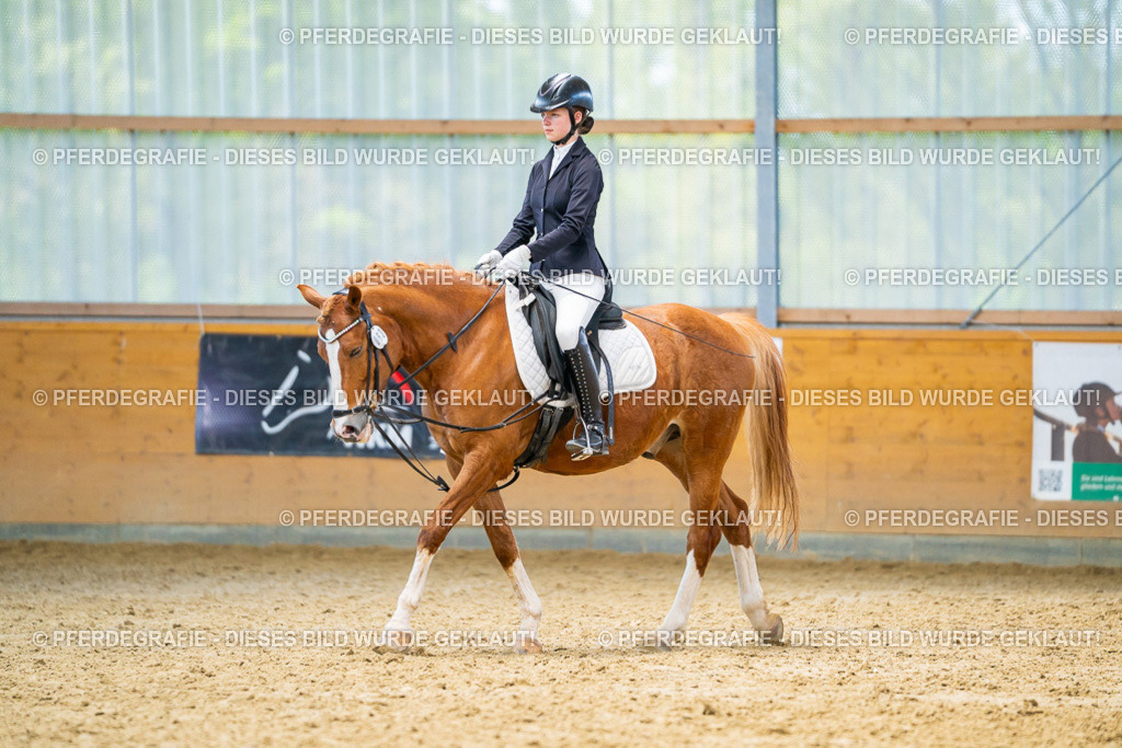 DSC08620 | Pferdegrafie