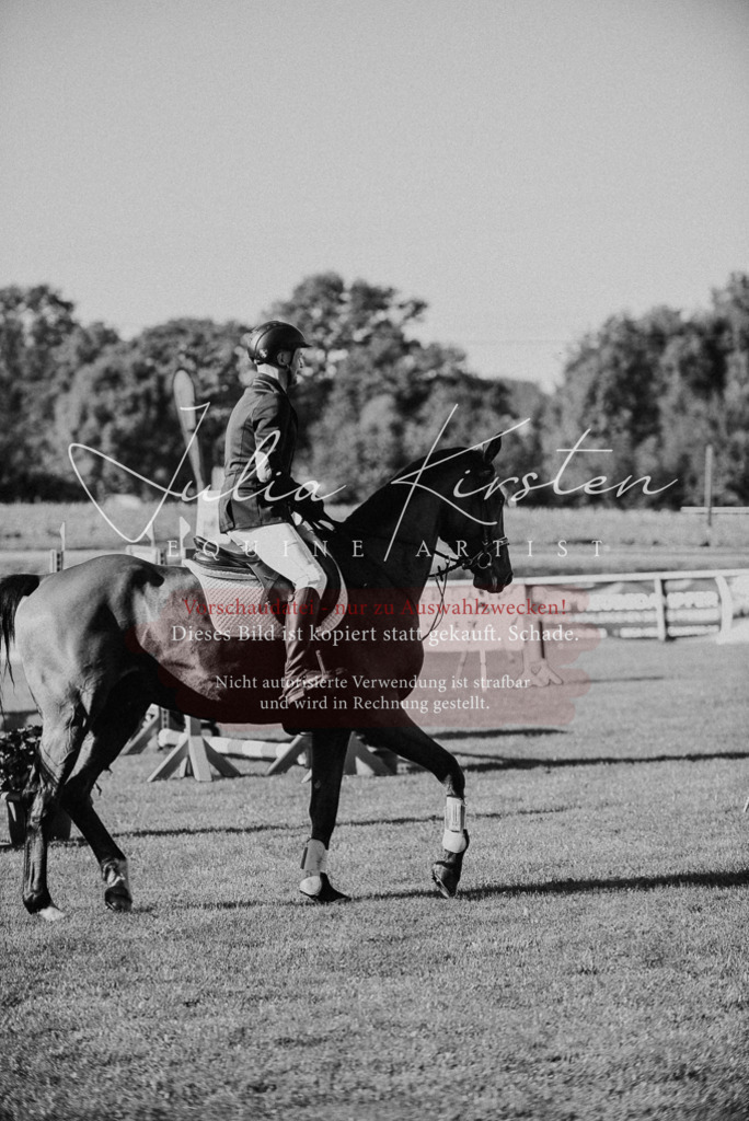 DSC_2172 | Pferde- und Turnierfotografie in Westsachsen. Pferdeportraits, Auftragszeichnungen und intuitive Kunst.