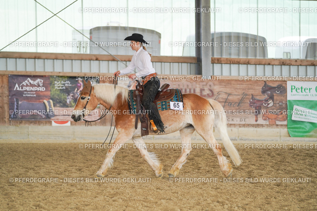 DSC01227 | Pferdegrafie