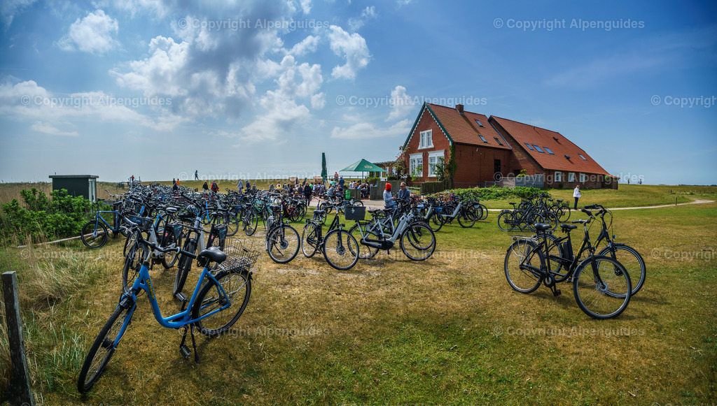 Juist-008 | Juist Nordsee - Realisiert mit Pictrs.com