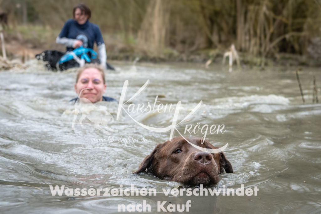 1105_ZZ95664 | kk-dogfotos