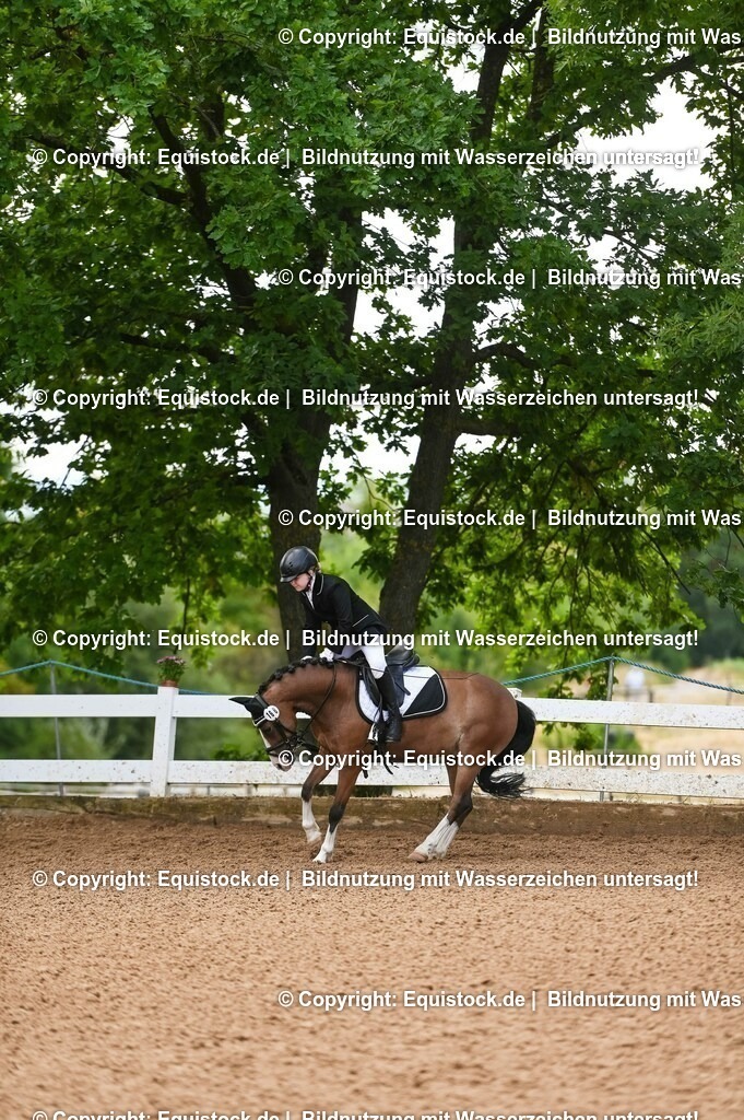 20230716_10-2_Reiter-WB Schritt - Trab - Galopp_0141 | equistock