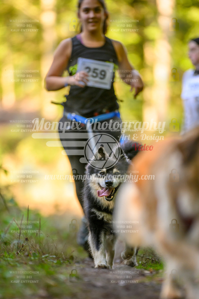 MompixPhotography_Yens2025_B3-140 | PayLife
