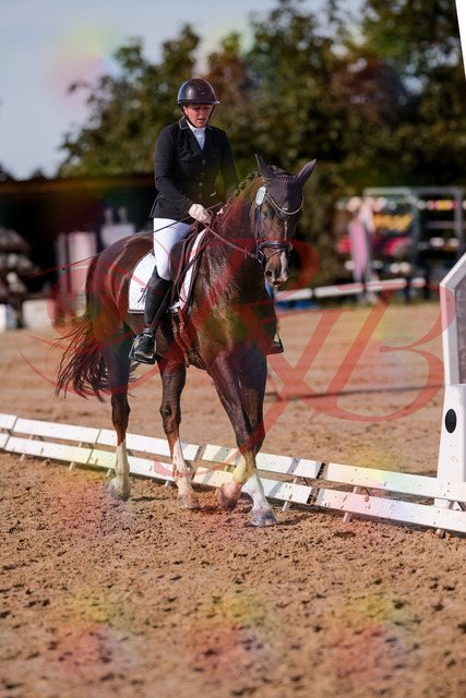 2026_10_03_Siefer-Hof_132521_Z81_75689709 | Professionelle Reitsport-, Turnier- und Eventfotografie von Robert Broda. Galerien mit ausgewählten und bearbeiteten Bildern direkt online ansehen und bestellen.