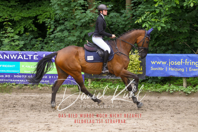 DKP45031 | Turnierfotos kaufen im Webshop von Daniel Kuhl Photography – entdecke professionelle Reitsportfotos aus Turnieren & Events. Hochwertige Turnierbilder online bestellen & sichern. Jetzt Fotos von Reitsportturnieren kaufen!