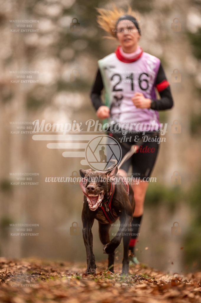 AKM_ST_2023_SAM_Run-30 | PayLife