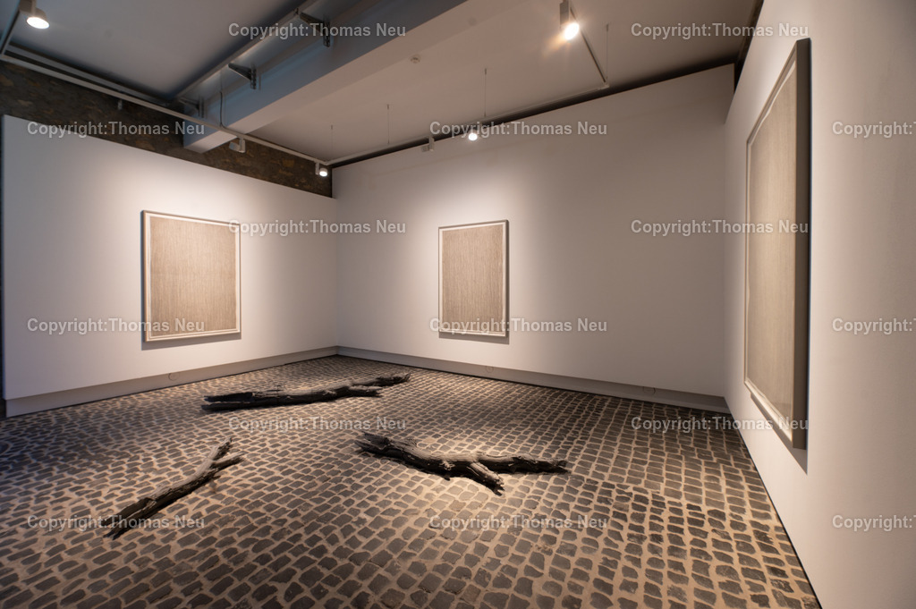 DSC_0661 | Jonas Wendelin zeigt großformatige Skulpturen und Rauminstallationen aus Ton und Lehm, basierend auf 3D‑Scans von organischen Materialien wie verrottenden Baumstämmen und archäologischen Gefäßen aus der Museums‑Sammlung. Diese Arbeiten thematisieren Material als Archiv und Informationsträger, Erosion und Zerstörung — sowohl formal als auch inhaltlich. Die Werke schaffen Spannungsfelder zwischen haptischer Realität und digitaler Wahrnehmung, und lassen Wahrnehmungskategorien wie natürlich oder künstlich verschwimmen. 
