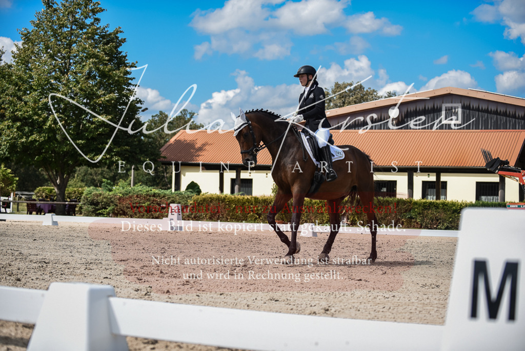 DSC_9299 | Pferde- und Turnierfotografie in Westsachsen. Pferdeportraits, Auftragszeichnungen und intuitive Kunst.
