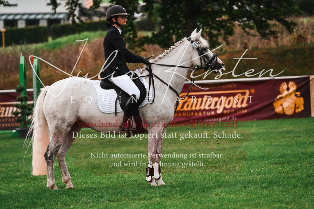 DSC_6177 | Pferde- und Turnierfotografie in Westsachsen. Pferdeportraits, Auftragszeichnungen und intuitive Kunst.