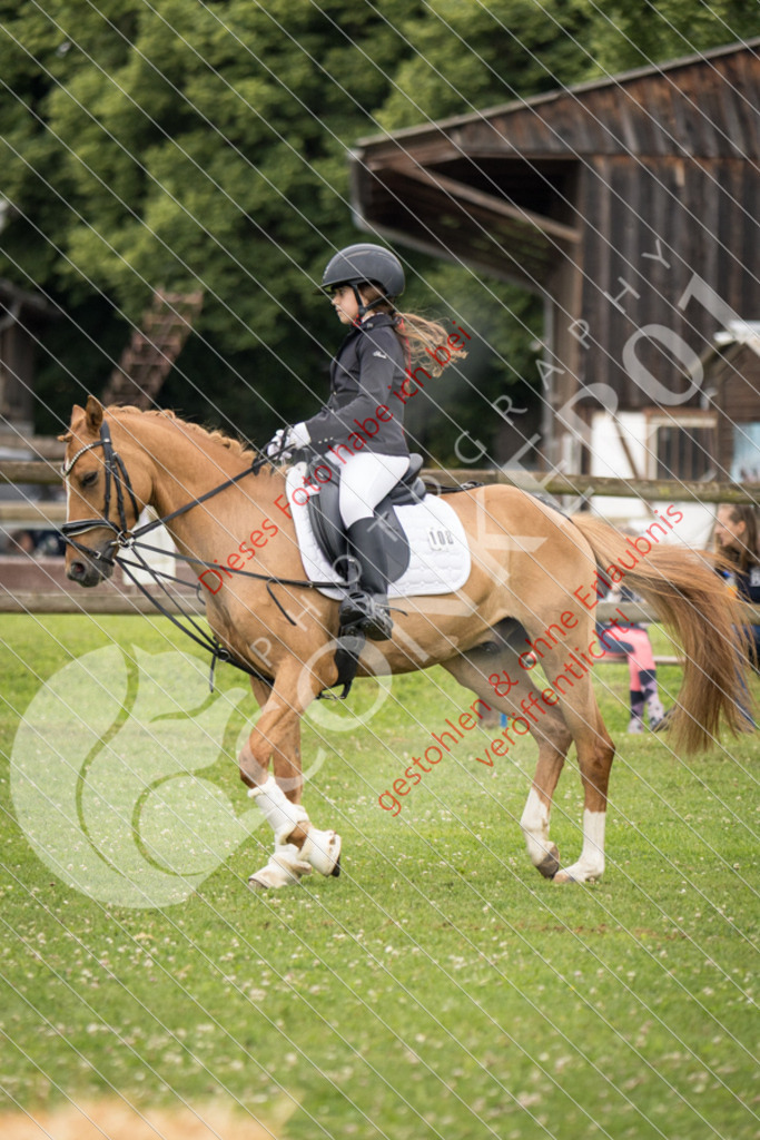 IMG_1708 | Sport-, Event- und Tierfotos in Profiqualität. Einfach auswählen, bestellen und herunterladen. Dein Moment – perfekt festgehalten.