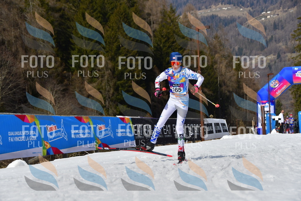 _DSC0497 | holidayphoto