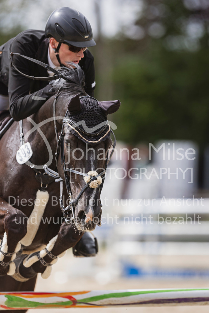 250504_SpengeW_M2-Spr-471 | Deine schönsten Turniermomente als professionelle Fotos! Entdecke hochwertige Pferdesport-Fotografie im Online-Shop. Jetzt Fotos finden & bestellen!