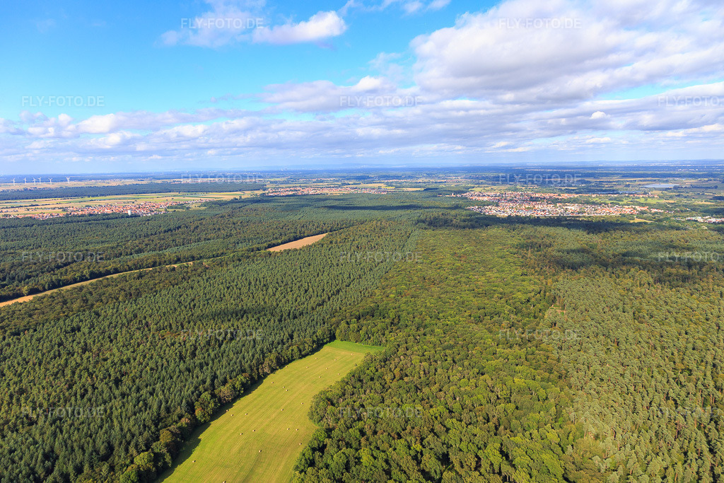 Luftbild: Otterbach-Lichtung im Bienwald Richtung Jockgrim in Kandel im Bundesland Rheinland-Pfalz in Deutschland. Foto: IMG_093354.jpg vom 22.08.2016 durch Werner Riehm/FLY-FOTO.de