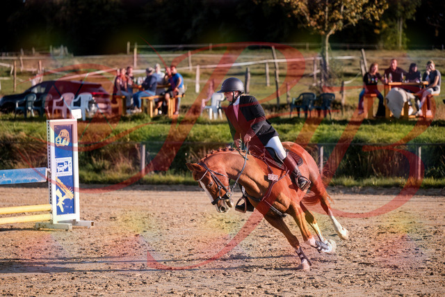 2026_10_03_Siefer-Hof_171723_Z81_15219145 | Professionelle Reitsport-, Turnier- und Eventfotografie von Robert Broda. Galerien mit ausgewählten und bearbeiteten Bildern direkt online ansehen und bestellen.