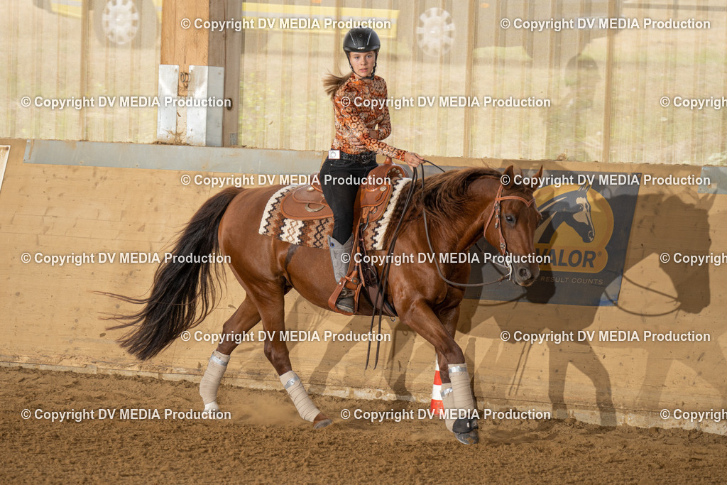 LAU01705 | dv-media-shop - Realisiert mit Pictrs.com