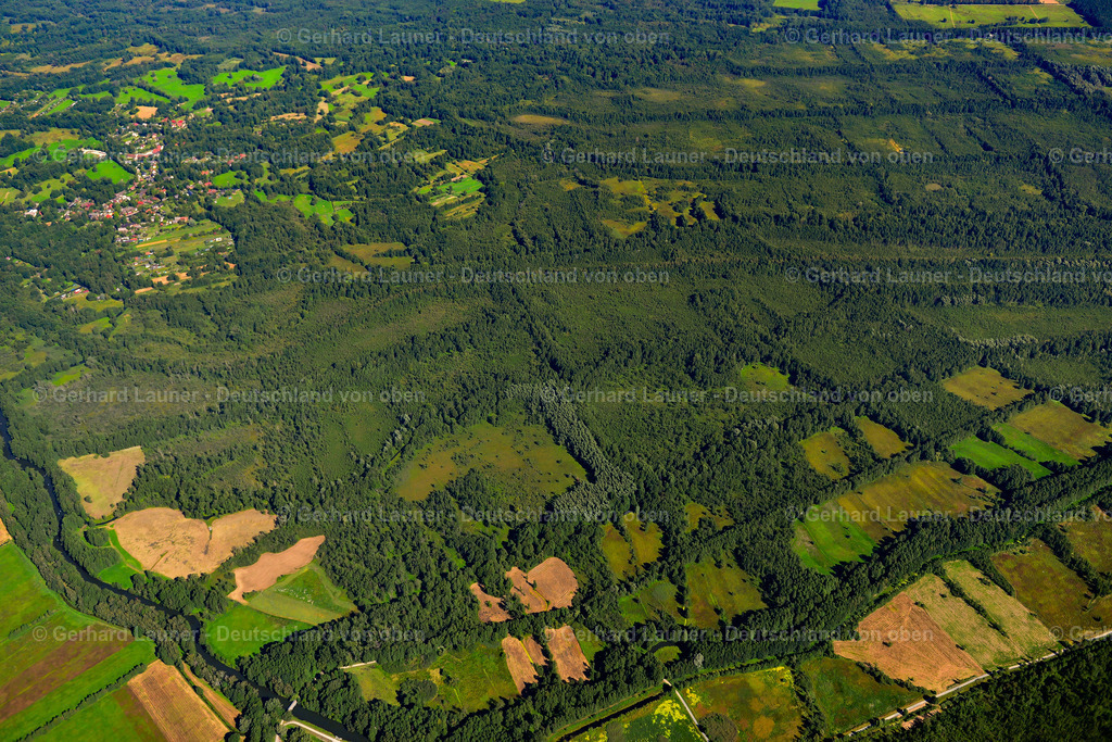 3637188 | LEHDE 25.08.2016 Forstgebiete in einem Waldgebiet in Lehde im Spreewald im Bundesland Brandenburg, Deutschland. // Forest areas in in Lehde at Spreewald in the state Brandenburg, Germany. Foto: Gerhard Launer