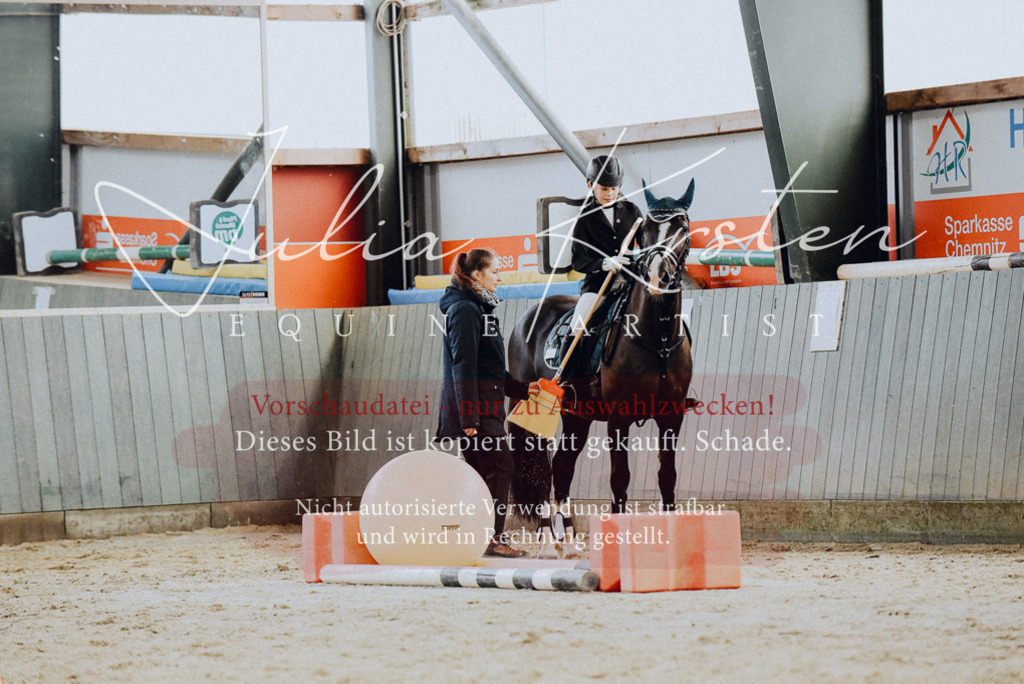 DSC_6806 | Pferde- und Turnierfotografie in Westsachsen. Pferdeportraits, Auftragszeichnungen und intuitive Kunst.