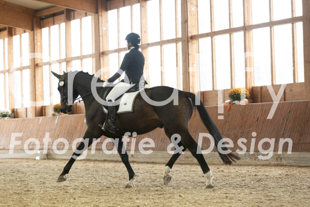 IMG_3232 | Creatify Fotografie