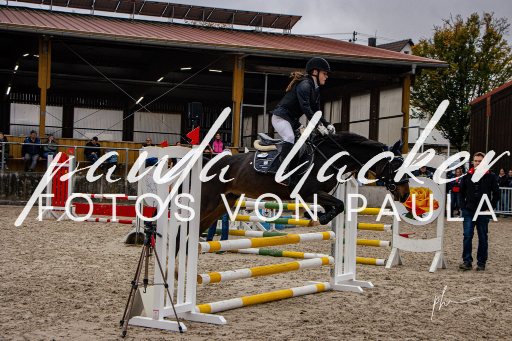 IMG_3779 | Erleben Sie dynamische Sport- und emotionale Tierfotografie in Süddeutschland mit Fotos von Paula. Spezialisiert auf Pferde- und Hundefotografie sowie Sportevents. Kontaktieren Sie mich für einzigartige und ausdrucksstarke Bilder Ihrer besonderen Momente. - Realisiert mit Pictrs.com