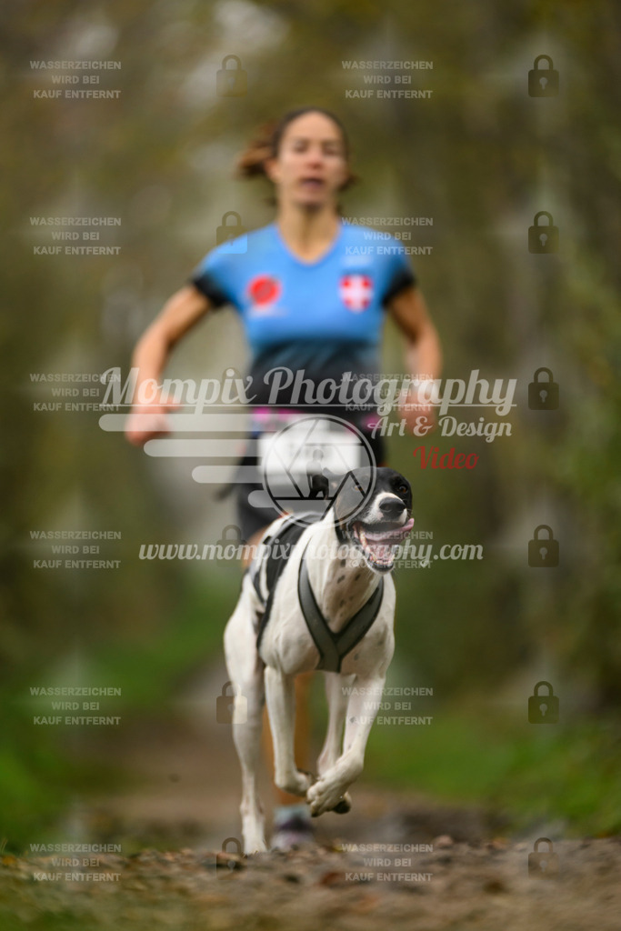 MompixPhotography_20TSB_E6_Run-37 | PayLife