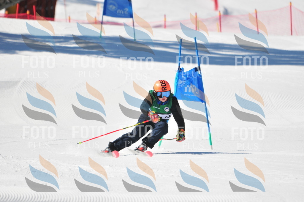 C3936 | holidayphoto