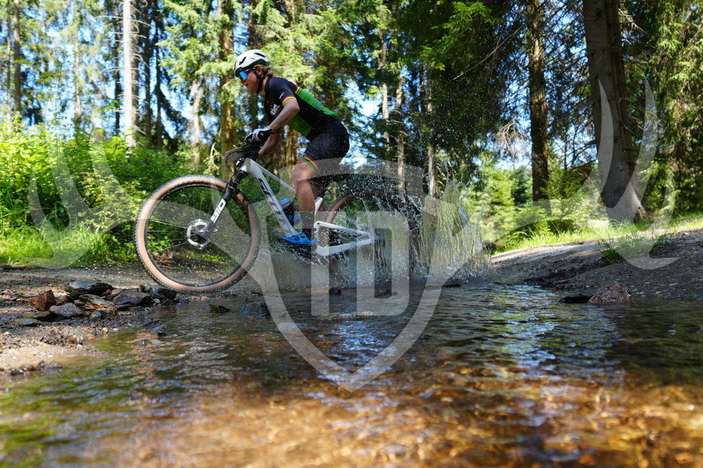 FC604456 | Fotogalerie der Treibjagd im Dunkelwald - Dein MTB Etappenrennen im Erzgebirge - Realisiert mit Pictrs.com