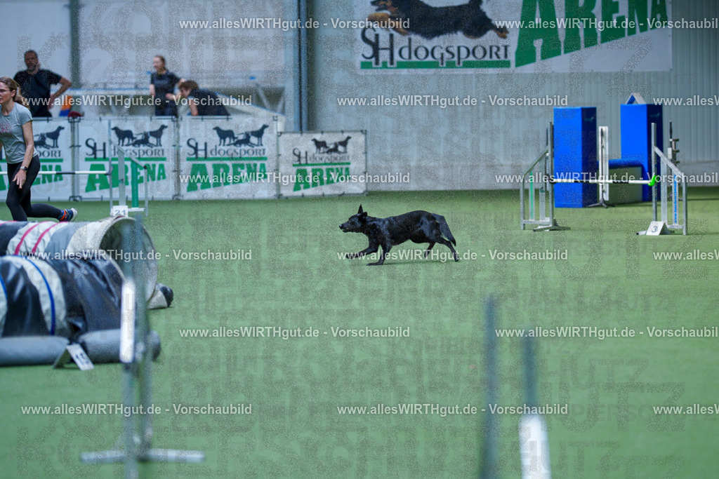 @allesWIRTHgut_Tierfotografie - www.allesWIRTHgut.de - 2604261352-7R502853 | Professionelle Tierfotografie in Mönchengladbach von Daniel Wirth (allesWIRTHgut). Liebevolle & natürliche Bilder von Hunden & Katzen für unvergessliche Erinnerungen.